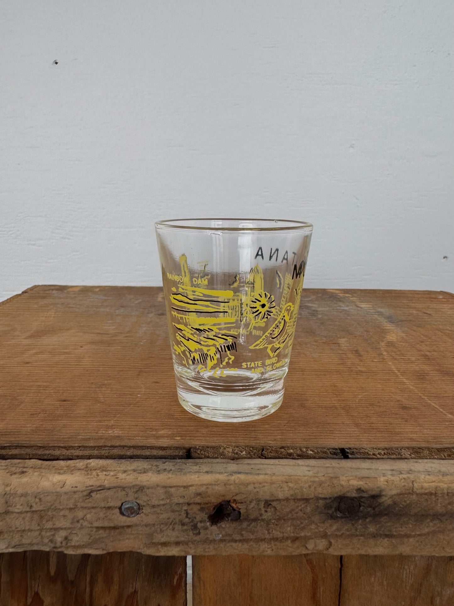 Vintage Montana Souvenir Shot Glass
