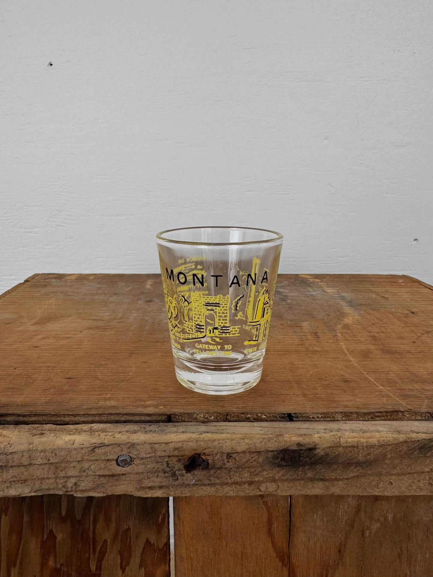 Vintage Montana Souvenir Shot Glass