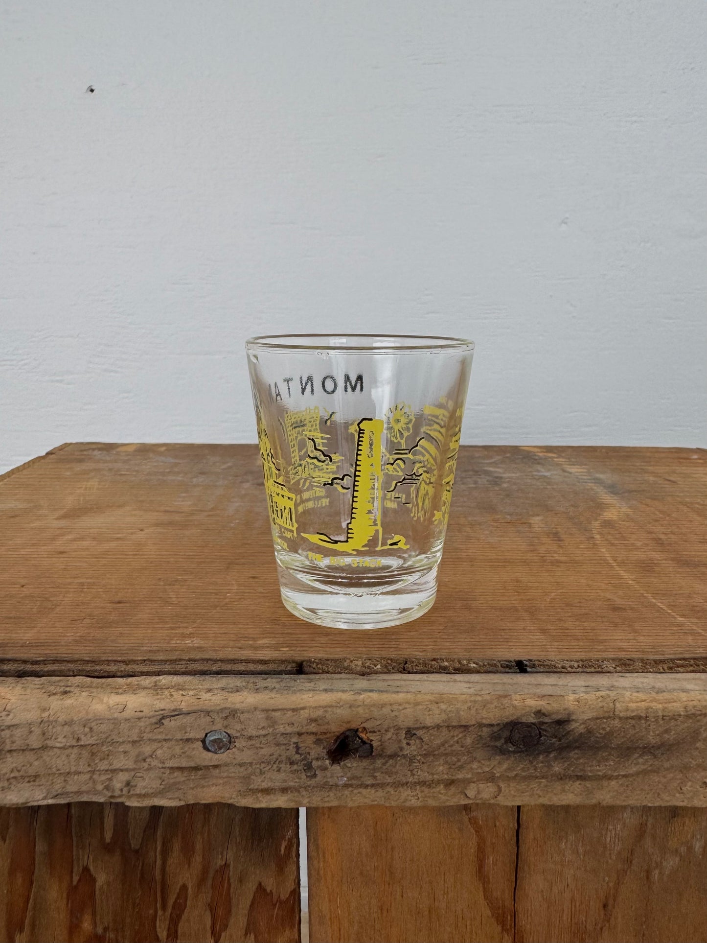 Vintage Montana Souvenir Shot Glass