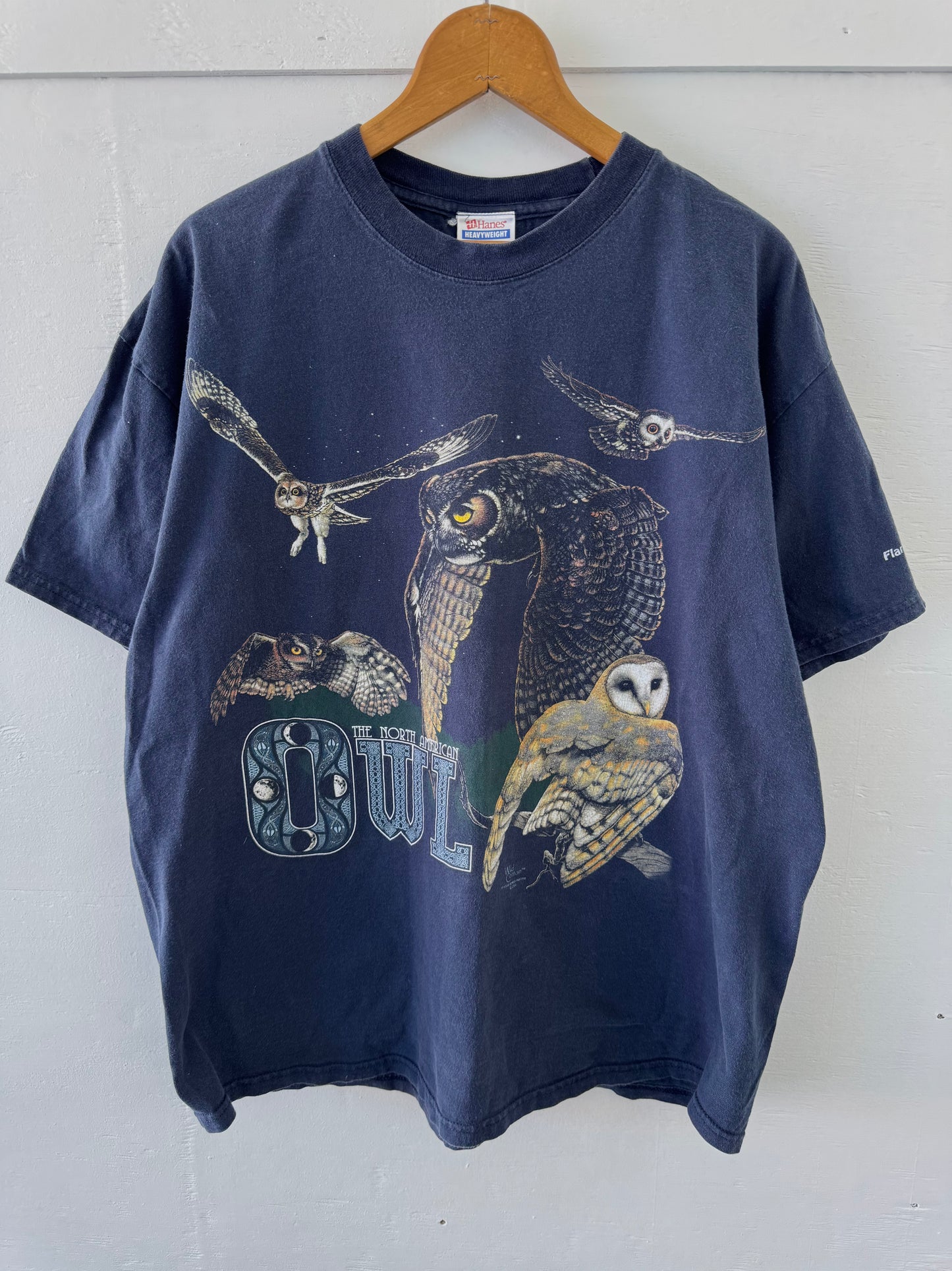 Vintage Y2K Blue North American Owl T-Shirt