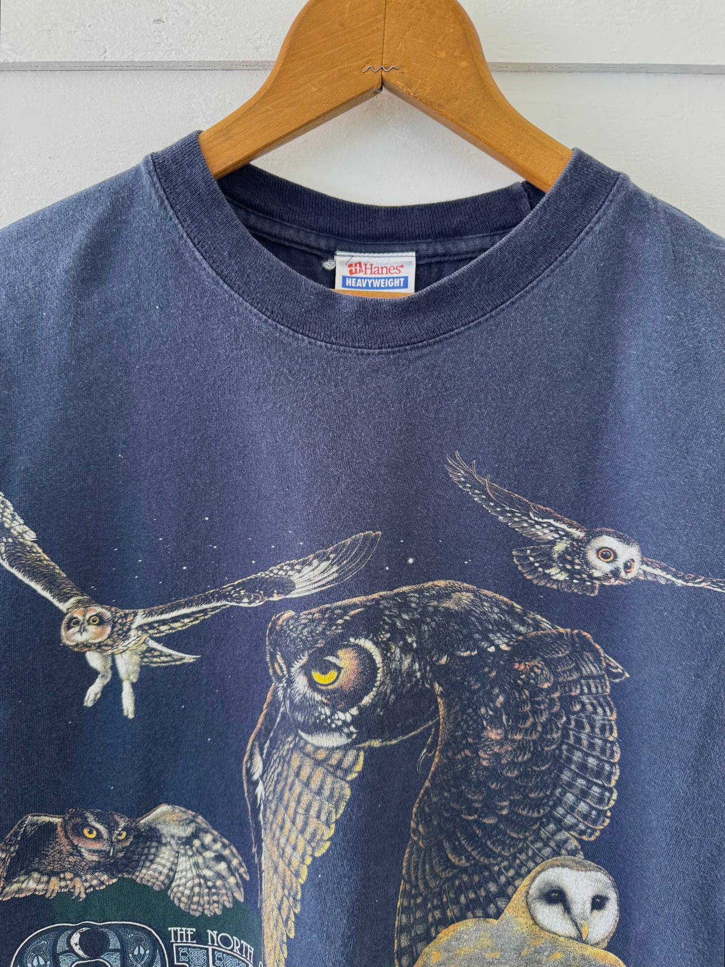Vintage Y2K Blue North American Owl T-Shirt